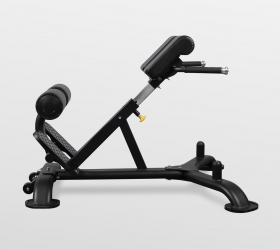 Гиперэкстензия BRONZE GYM BR-1010
