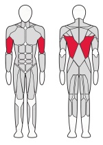 Блок для мышц спины (верхняя / нижняя тяга) Fitex Pro FTX-5506