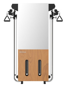 Настенный тренажер SHUA SH-G699
